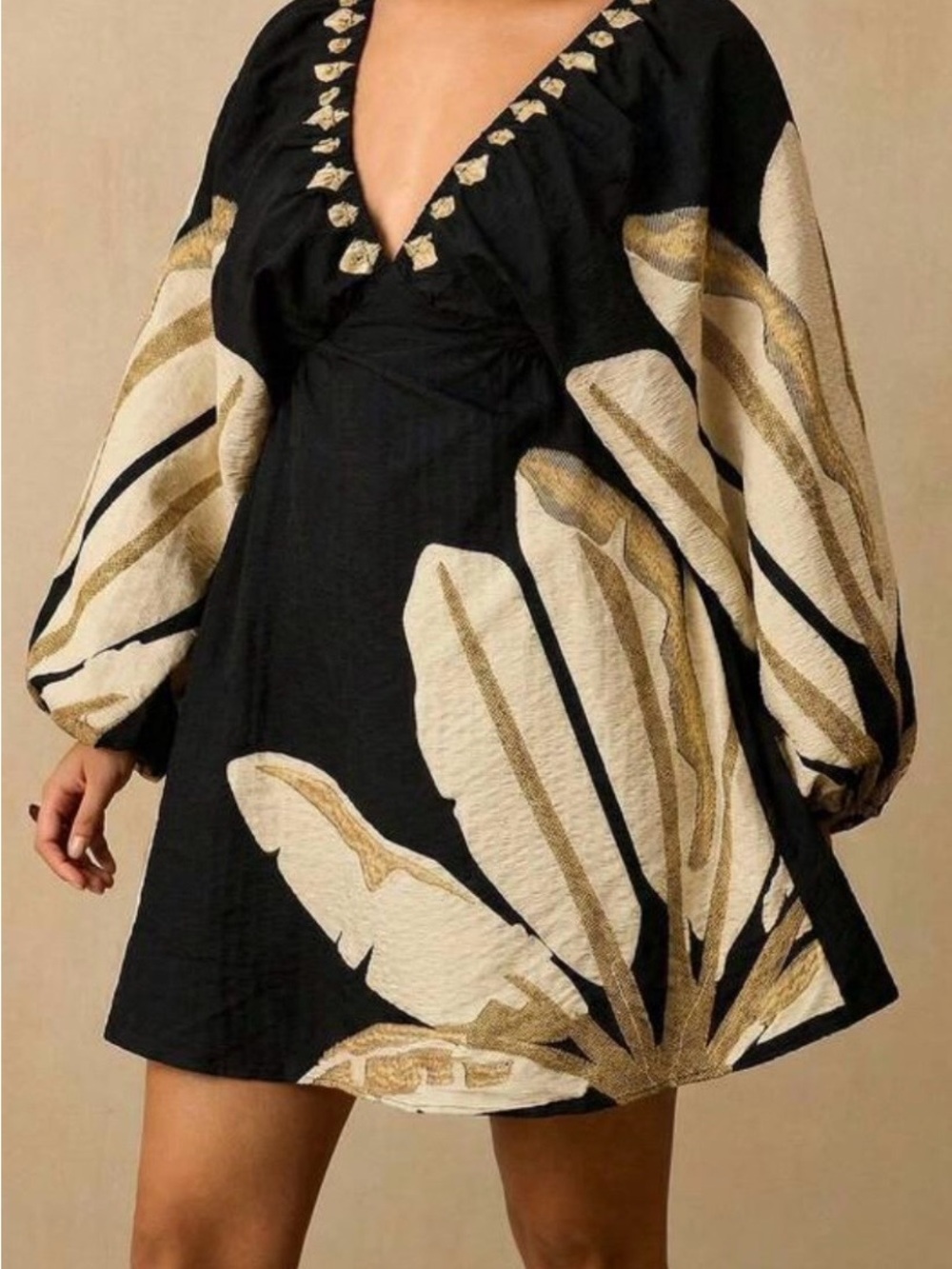 Black and Cream Floral Embroidered V-Neck Mini Dress